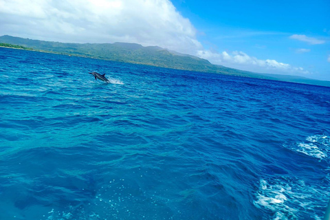 Port Vila: Pele Island Day Tour with Lunch & Snorkeling