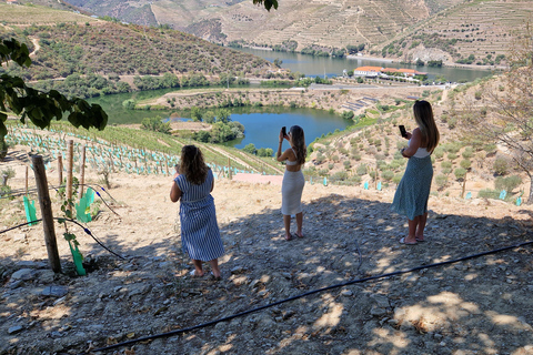 From Porto: Douro Valley Wine Tasting Tour With Hotel PickupPickup at Hotel