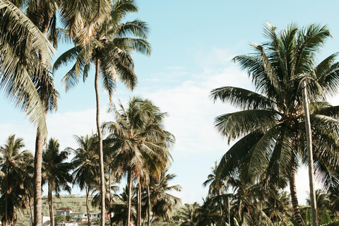 Z Praia: całodniowa wycieczka po wyspie Santiago z lunchemZ Praia: całodniowa wycieczka na wyspę Santiago z obiadem