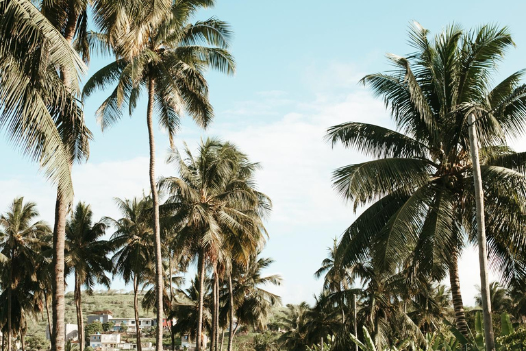 Z Praia: całodniowa wycieczka po wyspie Santiago z lunchemZ Praia: całodniowa wycieczka na wyspę Santiago z obiadem