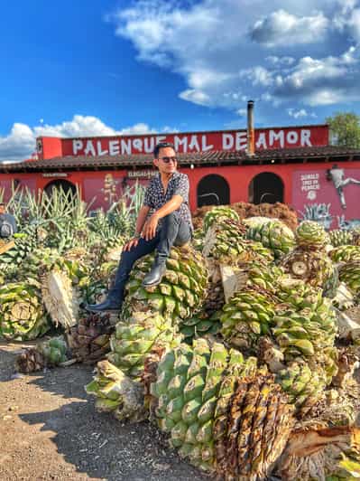 Galería de fotos para redes