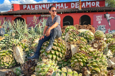 Oaxaca: Monte Albán, Hierve el agua, Mezcal and Teotitlán