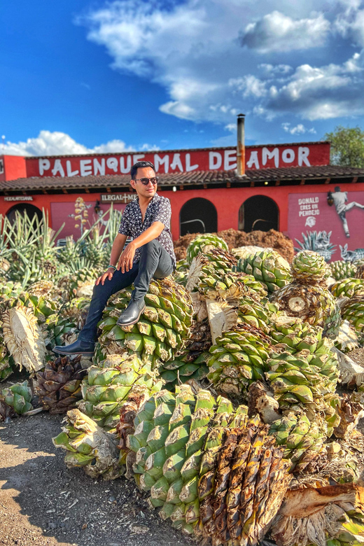 Galería de fotos para redes