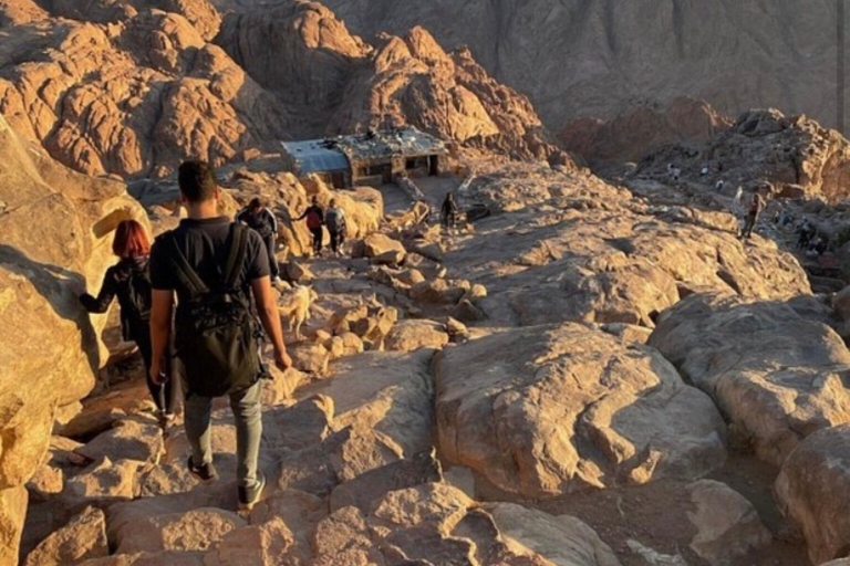 Berg Sinai Wandertour