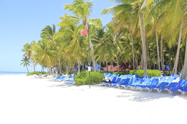 Punta Cana: Saona Island & Altos de Chavón Day Trip