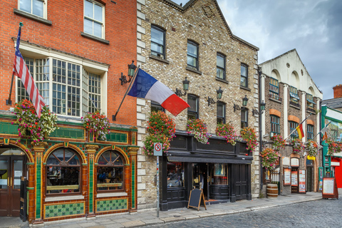 Skip-the-line Book of Kells and Old Town Private Tour 3-hour: Old Town, Book of Kells & Transport