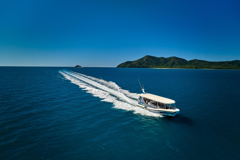 Från Cairns: Great Barrier Reef halvdagsutflykt med snorkling