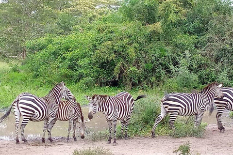 3 Days Lake Mburo National Park Safari Tour, Uganda