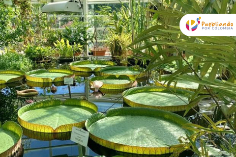 Explore the Magic of the Botanical Garden - Bogotá