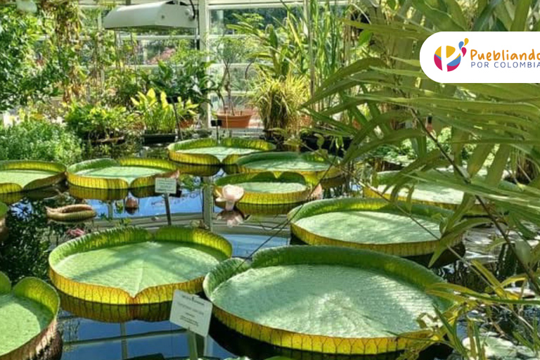 Explore the Magic of the Botanical Garden - Bogotá