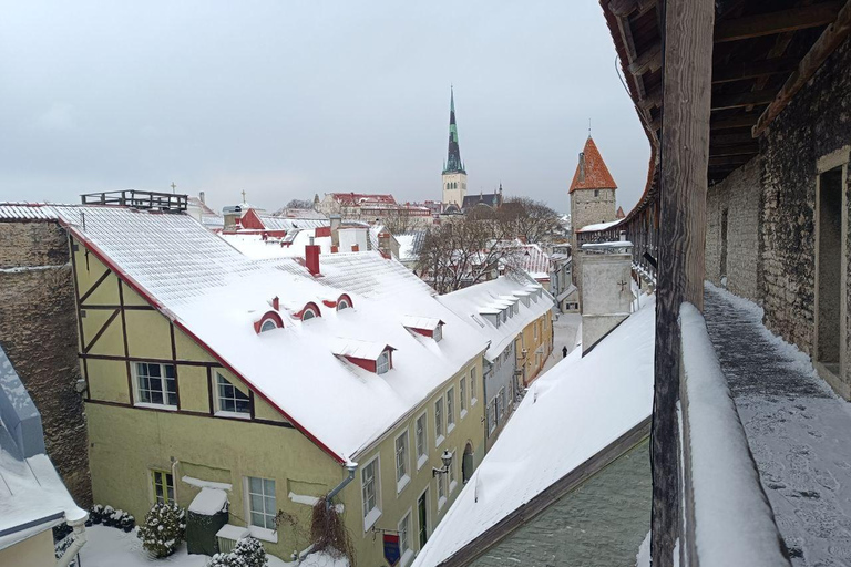 Old Tallinn & Medieval Past Private Tour