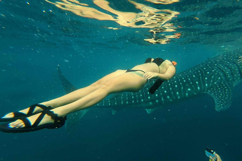 Cebu: Adventure Escape 4 Days & 3 Nights All-In Experience