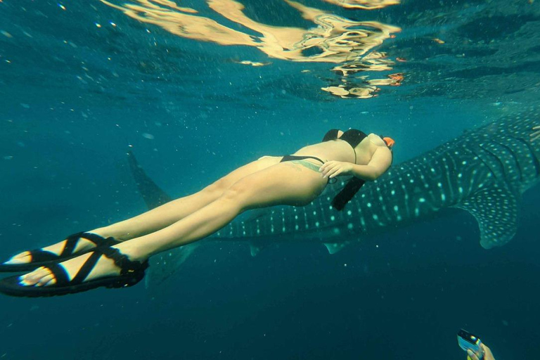 Cebu: Adventure Escape 4 Days & 3 Nights All-In Experience