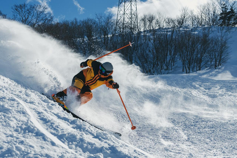 Nagoya: excursión de 1 día a la estación de esquí de Dynaland con forfaitNagoya: incluye el billete de autobús y el tique del telesilla