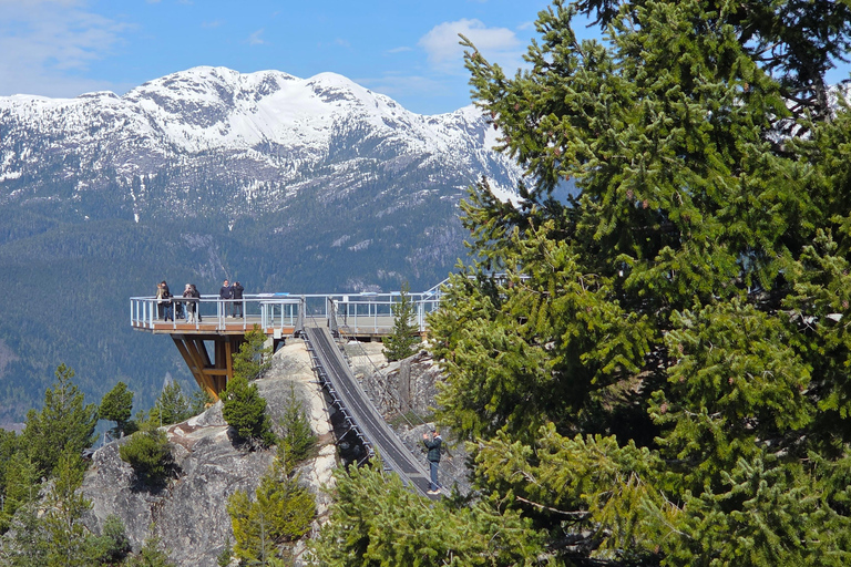 Vancouver: Sea-To-Sky half-day tour, Gondola & luggage