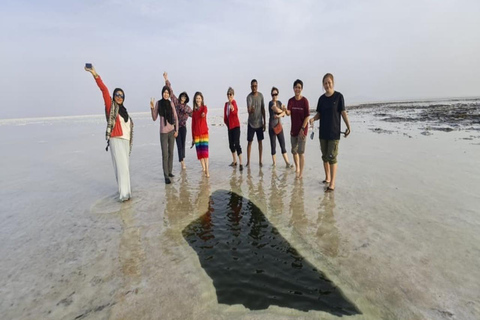 Afar: Alalobad Hotspring Danakil Depression 3-Day Tour