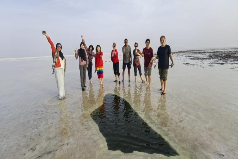 Afar: Alalobad Hotspring Danakil Depression 3-Day Tour