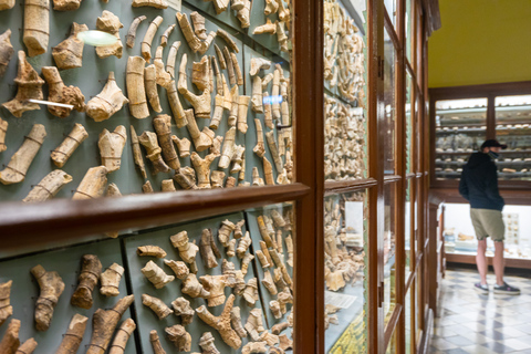 马耳他史前寺庙之旅