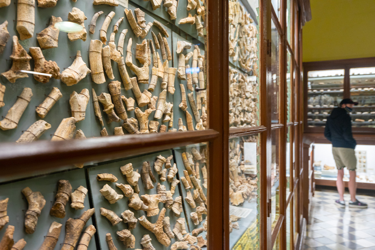 马耳他史前寺庙之旅