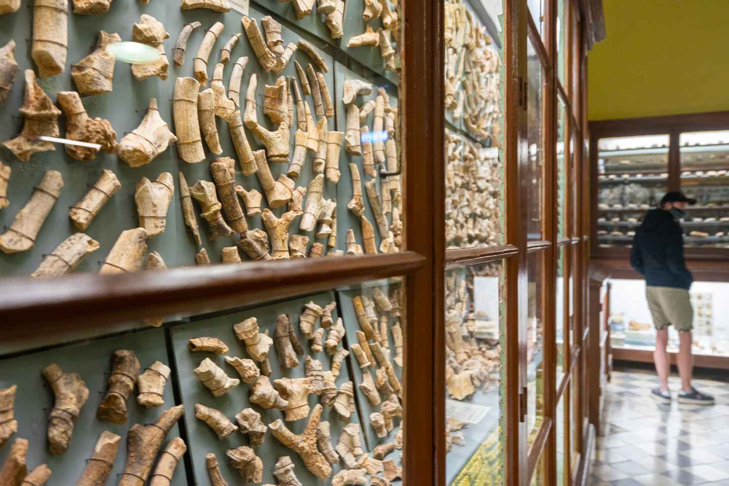 Tour por los Templos Prehistóricos de Malta