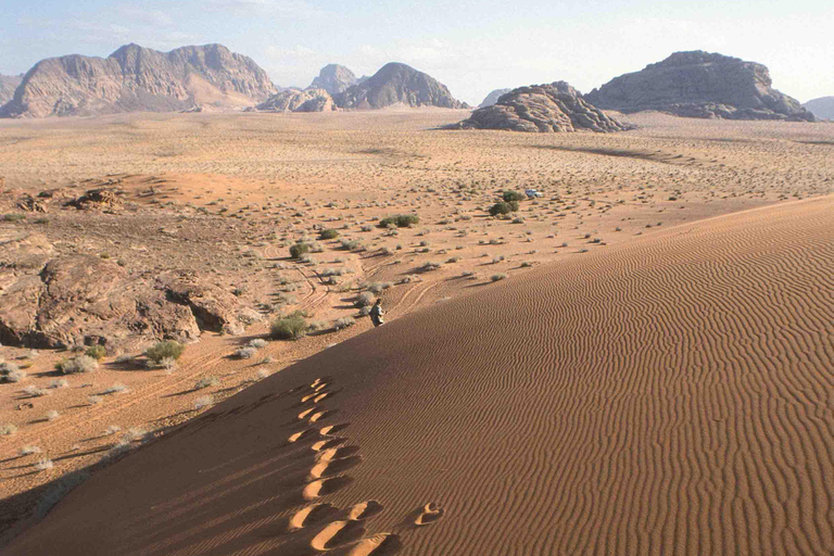 Amman: Petra & Wadi Rum overnight at Camp