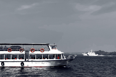 Kochi Half-Day City Tour with Ferry Experience