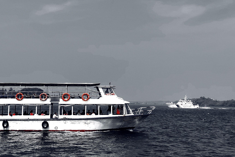 Kochi Half-Day City Tour with Ferry Experience