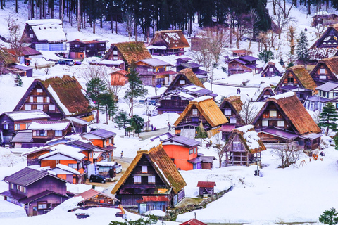 Nagoya: Shirakawa-go & Hida Takayama Old Streets Day Tour