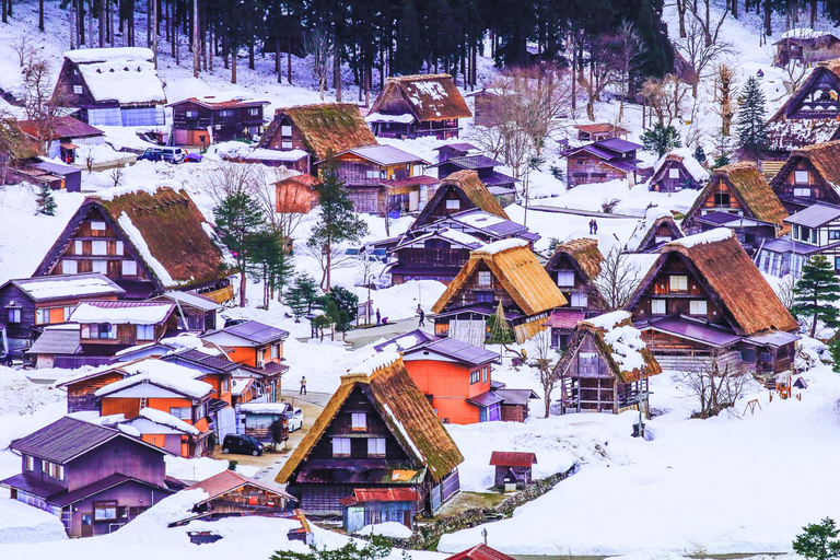 Nagoya: Shirakawa-go & Hida Takayama Old Streets Day Tour