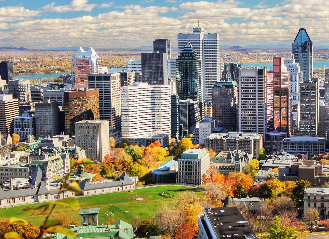 Montreal: Guidet byrundvisning på en halvdagstur