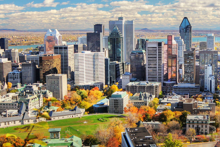 Montreal: Half-day Guided City Tour