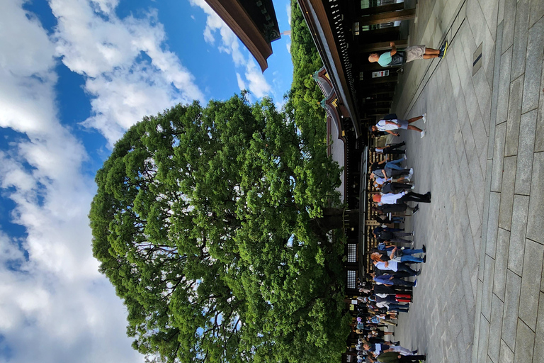 Tour privado de un día por los lugares famosos de TokioVisita Privada de un Día a los Lugares Famosos de Tokio