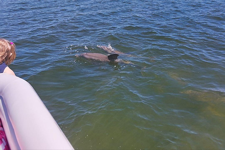 Cocoa Beach: Dolphin & Manatee Small Group Eco Boat Tour
