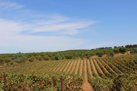 Évora: Jeep Vineyards Tour with Regional Wine & Food Tasting