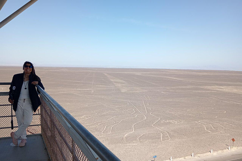 DESDE HUACACHINA: Línea de Nazca de día completo + tour por tierraDESDE HUACACHINA: Tour de día completo a las Líneas de Nazca + tour terrestre