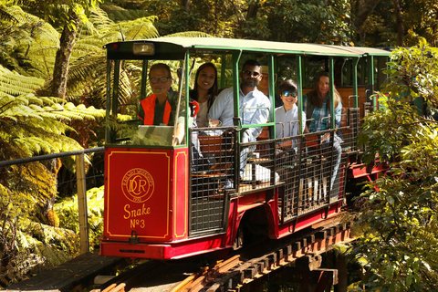 COROMANDEL CATHEDRAL COVE &amp; DRIVING CREEK - PRIVÉTOUR