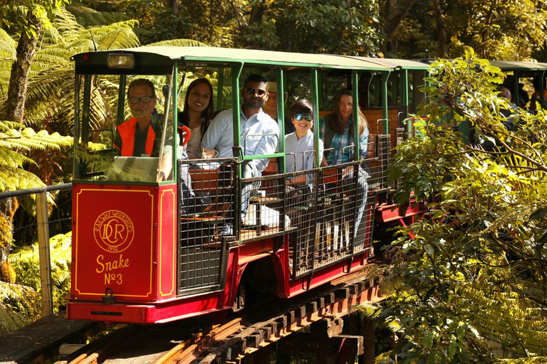 COROMANDEL CATHEDRAL COVE &amp; DRIVING CREEK - PRIVATE DAY TOUR