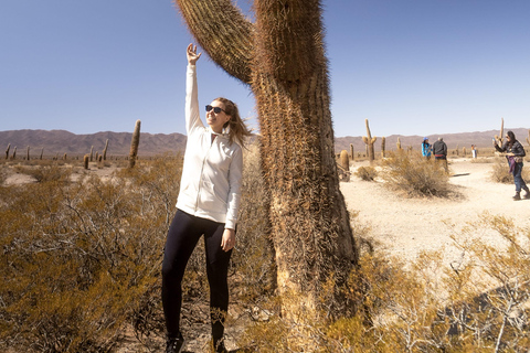 Cachi: Ruta Escénica y Experiencia Local desde Salta