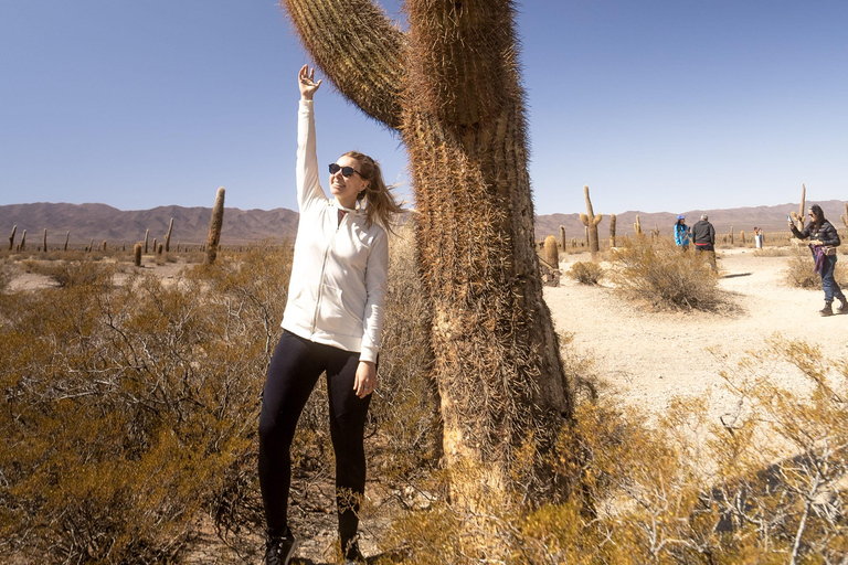 Cachi: Ruta Escénica y Experiencia Local desde Salta