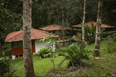 Chiapas: Palenque, Agua Azul en Misol-Ha