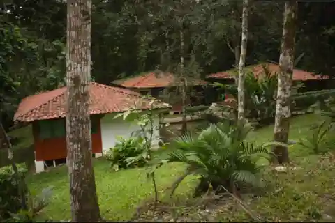 Chiapas: Palenque, Agua Azul e Misol-Ha