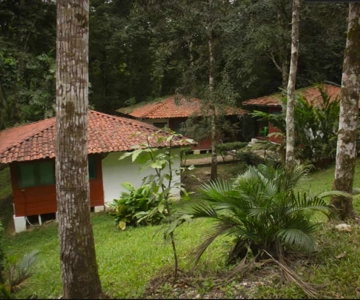 Chiapas: Palenque, Agua Azul, and Misol-Ha