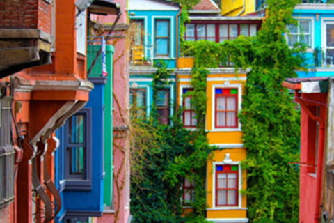 Istanbul: 7-Day Turkey Tour with Flights and TransfersShared Option with bus station &amp; airport transfers and drops