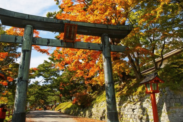 From Tokyo: Nikko Private Full-Day Heritage & Nature Tour