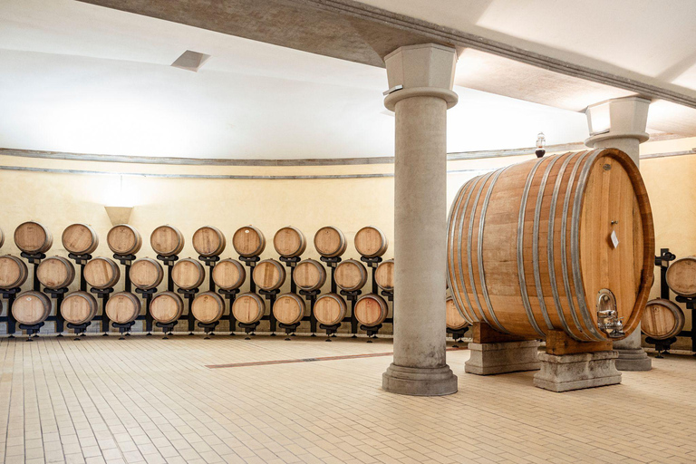 Abbey Tour, Wine Tasting and Light Lunch near Pisa English