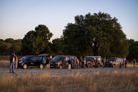 Doñana: 4x4 Trip and Exclusive Access to Coto del Rey Daily 4x4 visit to Doñana National Park