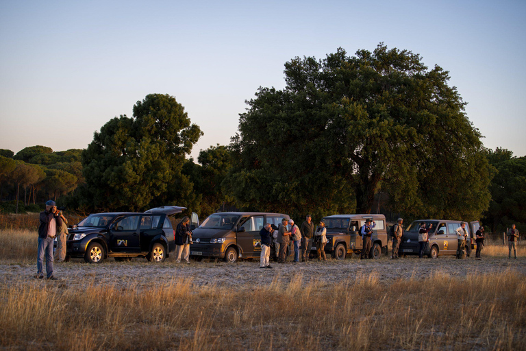 Doñana: 4x4 Trip and Exclusive Access to Coto del Rey Daily 4x4 visit to Doñana National Park