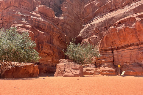 Wadi Rum: tour de medio día en jeep con guía beduino