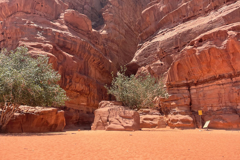 Wadi Rum: tour de medio día en jeep con guía beduino