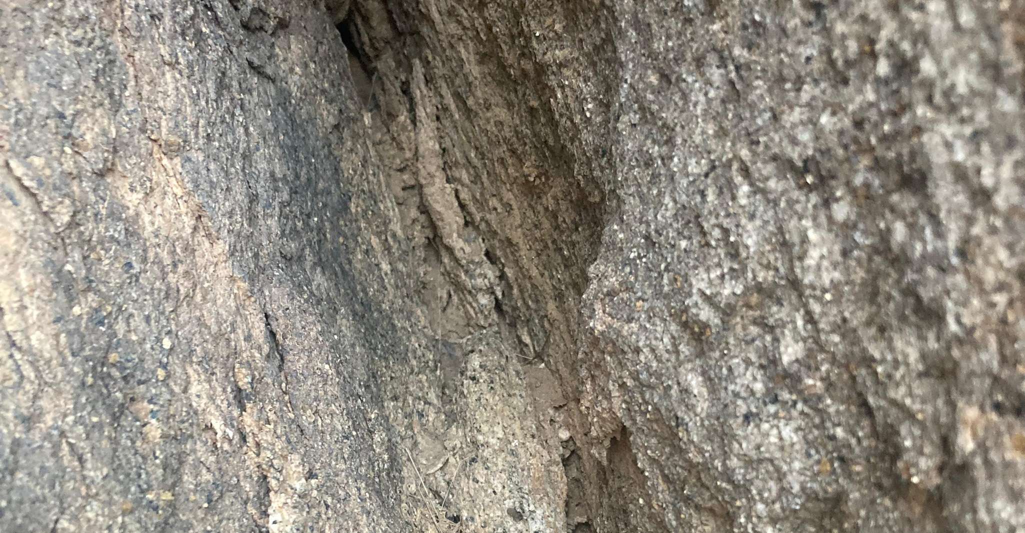 Jeddah: Moon Mountain Guided Hiking Tour with Snacks photo 9